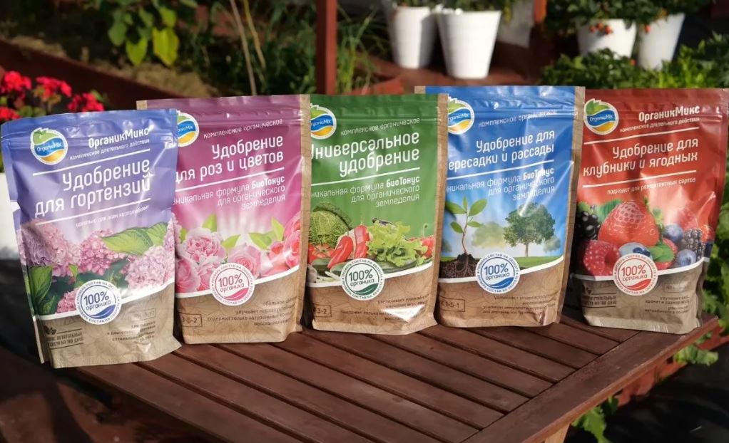 ���� �������. ��� � ������. ���������, ��� ��� �������. �� ������� ���� � ������ ���������, �����. ����� 52