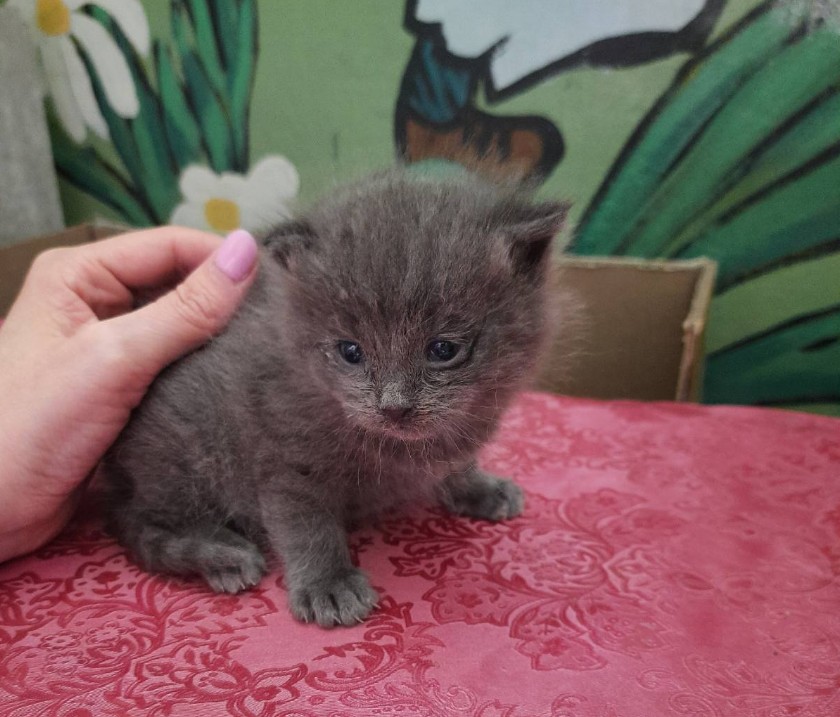 �������� � �������� ������� � ������ ����! ��� ������� ����.