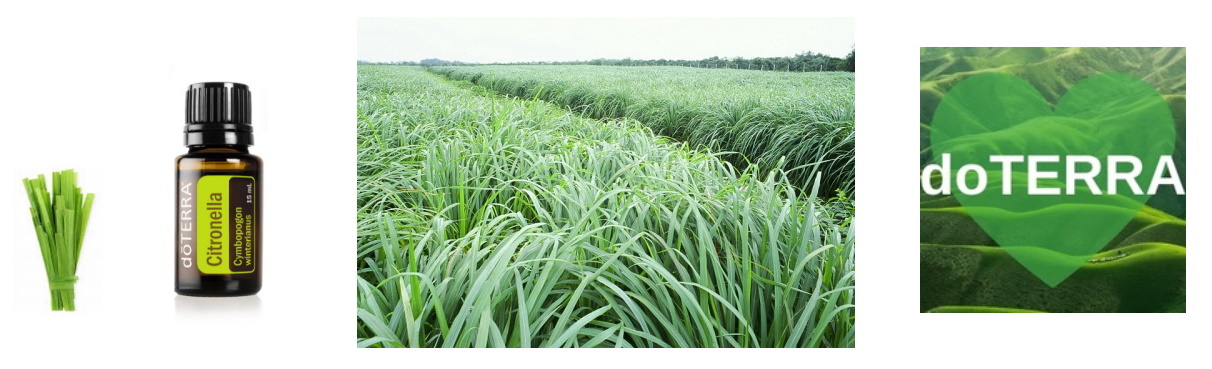 �������! ������� ����� ���������� - ��������, ���������� �������.