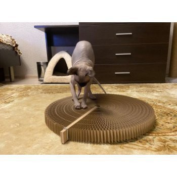 [b]���� �������.���������� �������.������� - ������� !����������� �������� ��� �����, ������� � �����. ������� ���� ������� � ���������� �������, �������, ������.�������� ������������� ��������� �����88[/b]