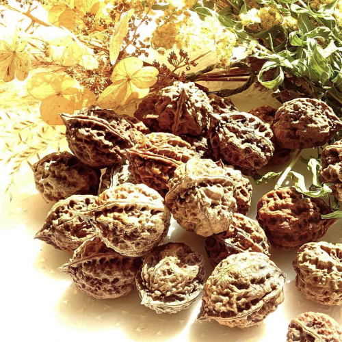 ������� ����������� ������ �� ������������� - �������, ������, �����, ������������� � ��., � ����� �������� � ������������.