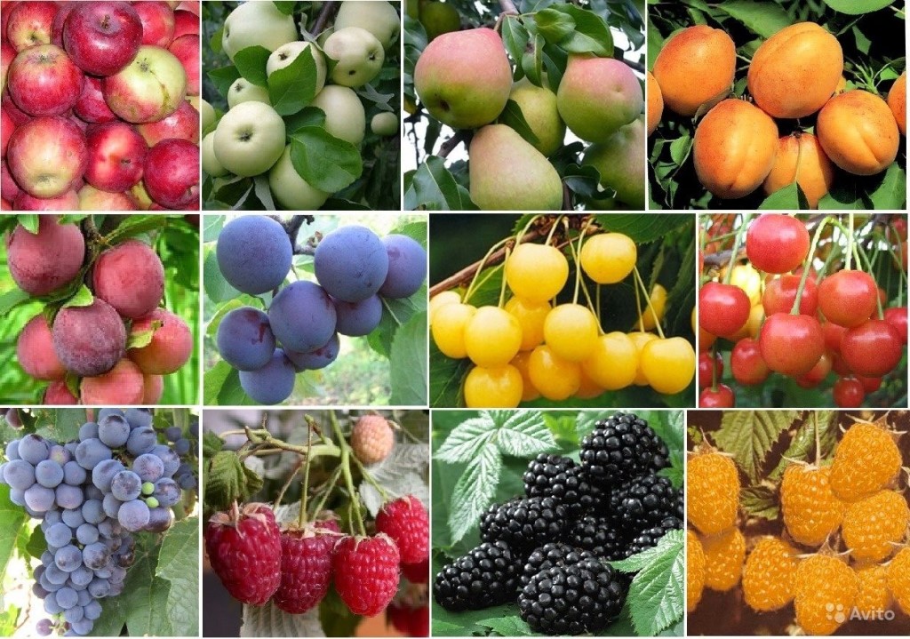 ������� ������! �������� ������� � ��� �� ���������� ������. ��������, �������, �����������-���������� ��������, ����, ������������ � ������ ������. 4/22