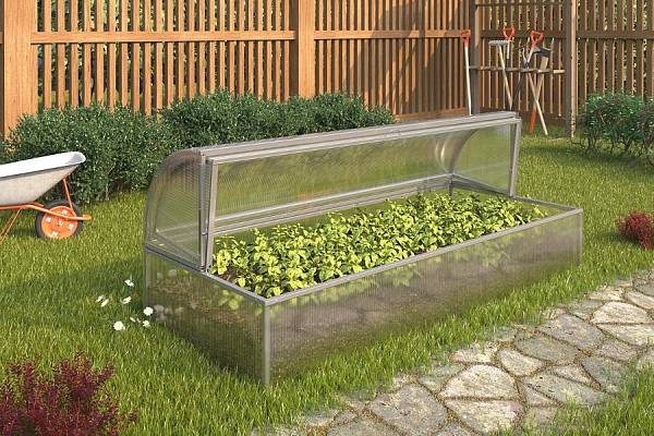 ���� �� 24.07. ������� ��� ������� ������������ � ������. ������� ���������� ������. �������� ��� ������ , �������� ��� ����������. �������. ������. ������, ��������.36