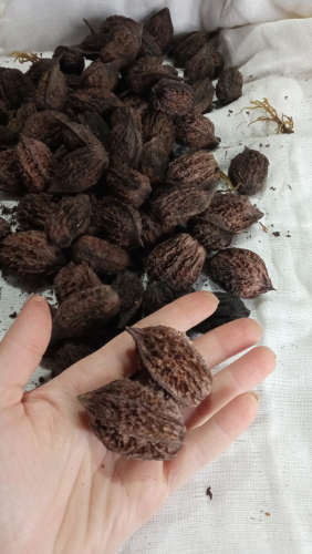 ������� �������� � ������������� �����.