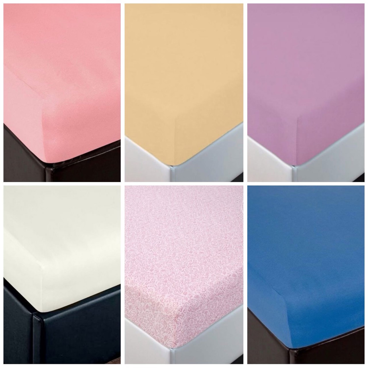 ���� �������. �������� �� �������, �������� � ������������ �������� ���������, ���������, �������������, �������. �������, ������. ����� 77