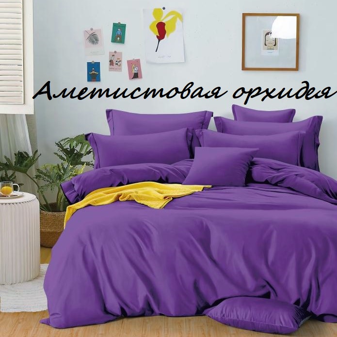 ������� ����� �������! 