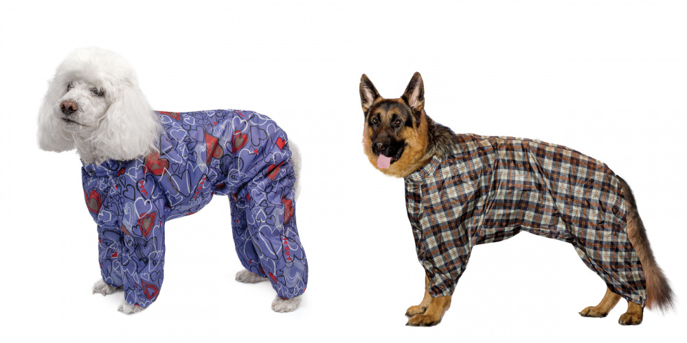 �������� ��������� ������ ��� �����! ����� �����, �������� ��������� � ��� ����� ��������)