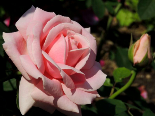 ���� �� ���������� ������� ���������� ������� ������