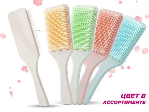 �������� ��������� Zebo Professional ����������, ���� � ������������