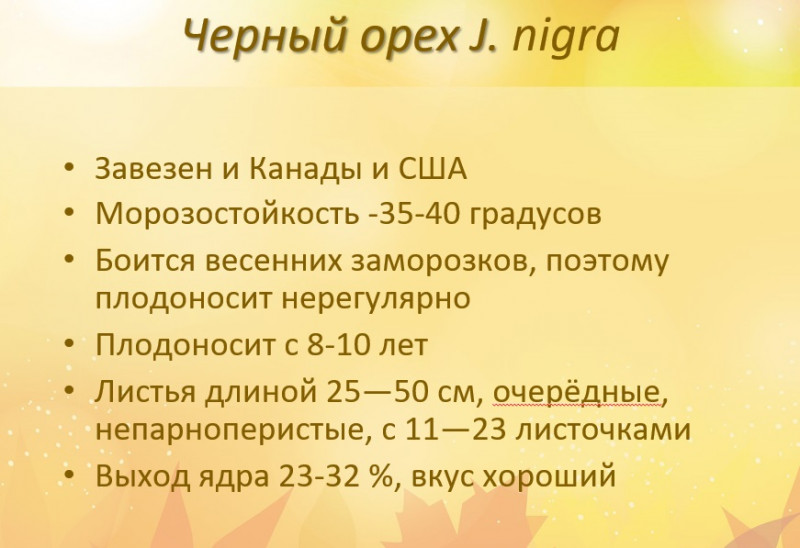 ����� ����������� � ������������� �����.