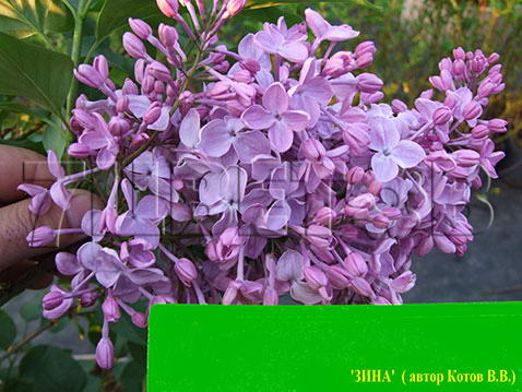 ������ ���� �����! ��������� ��������� ��������, ���� ������� ������� �� ����������� ����������. �������� ������ �� 500��.