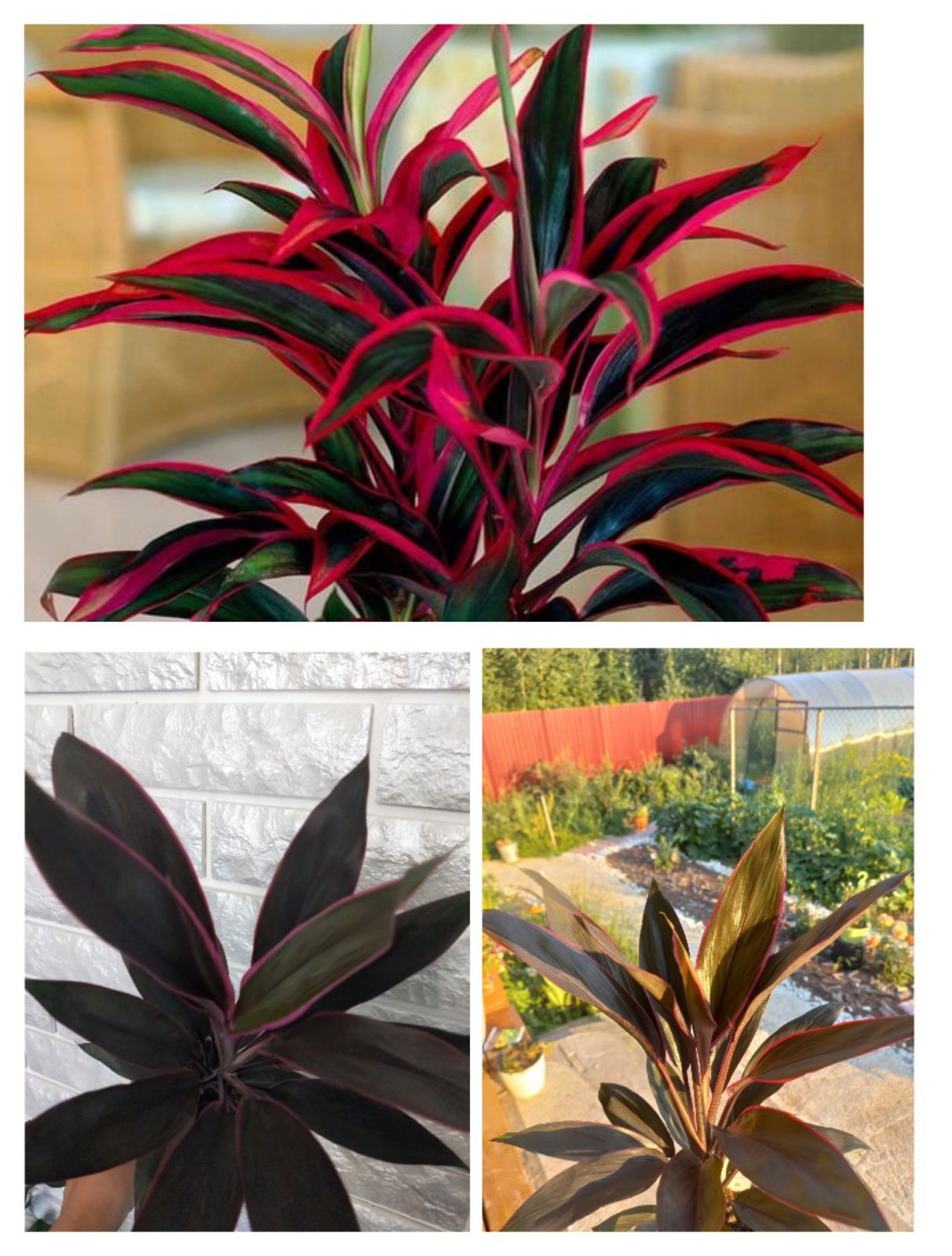 ���� �� 10.08. ��� � �������! ����� � �������! ���������� 3%!