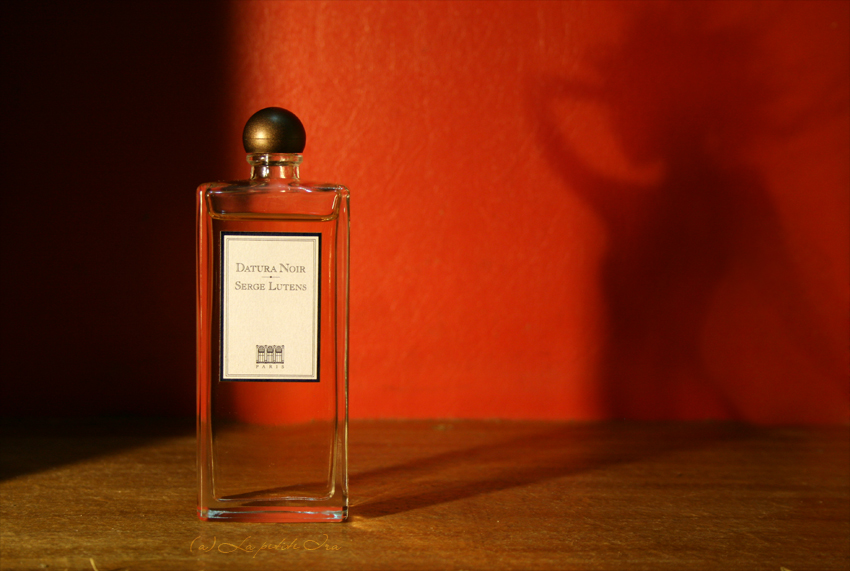 ���� �������. ����������� � �������� ����������. ������, ������ � ������������. ��� ��� ����������� ��������! ������. ����� ������� �������. 8 �����.