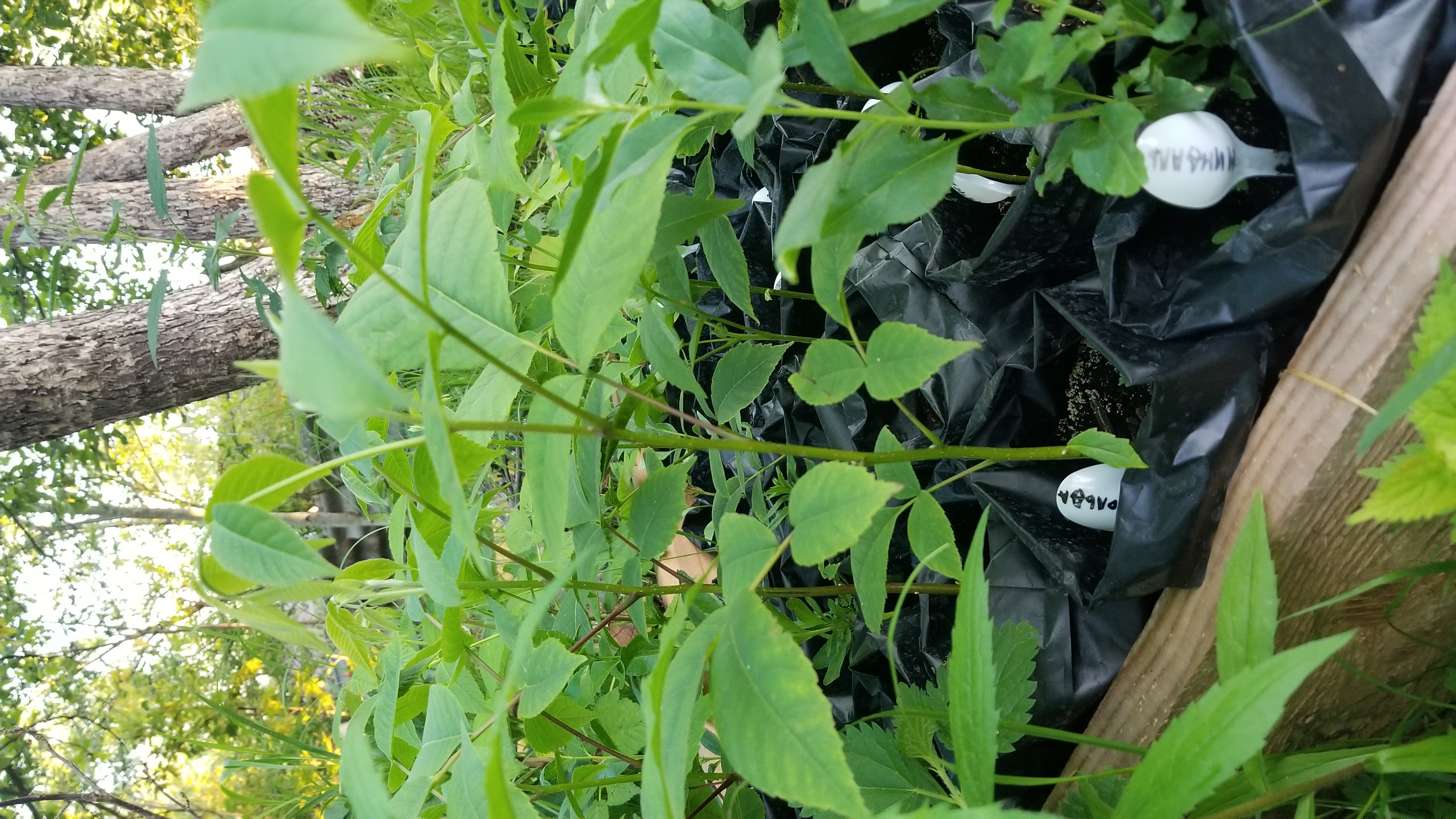 ������� ����������� ������ �� ������������� - �������, ������, �����, ������������� � ��., � ����� �������� � ������������.������� 3%