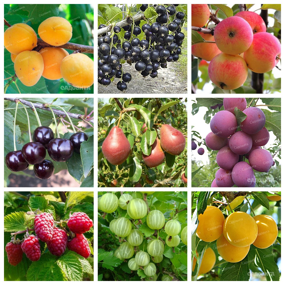 ���� �������. ������� �������� 6. �������� ������� � ����������. ����������� ����� ������������ �������� ��������, ������ 1 ��� � ���. (�� 21 �������)