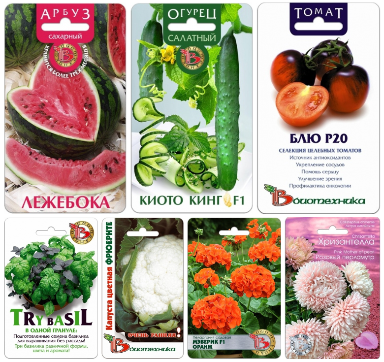 ������ ��� ������ ���� �� �������� ����������-33. ����� � ������� ������� � ��������� ������� ��� ������� � ��������������� �������