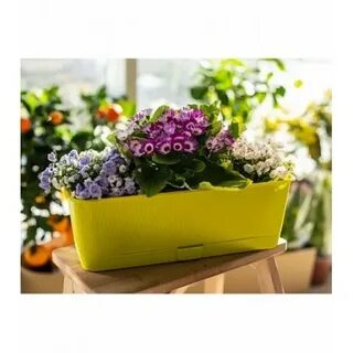 ������� �����������!  ������ ����� ��������� ����� �������� �������� �� ������ �������, �� �����! ������� ��� �������� �� ����, �������� ��������, ���� - ����� ��� �ӣ ����! ���� �������! ��������� ������� ������ � ����� ��������, - ���������! 