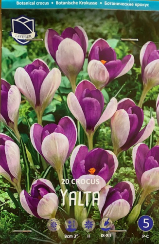 ������� ����������� ����������! ���-�� ���������� � ������ ��������� �ӣ, �� ������ � ������ ��������, �.�. � ���� ���� ������� ����������� ��������� �����! 