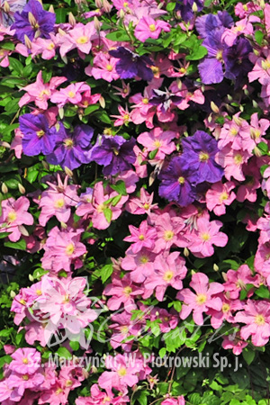 ��������� � ������� � ��� �� ����������� ����������. ��������� �� ����� 2023!