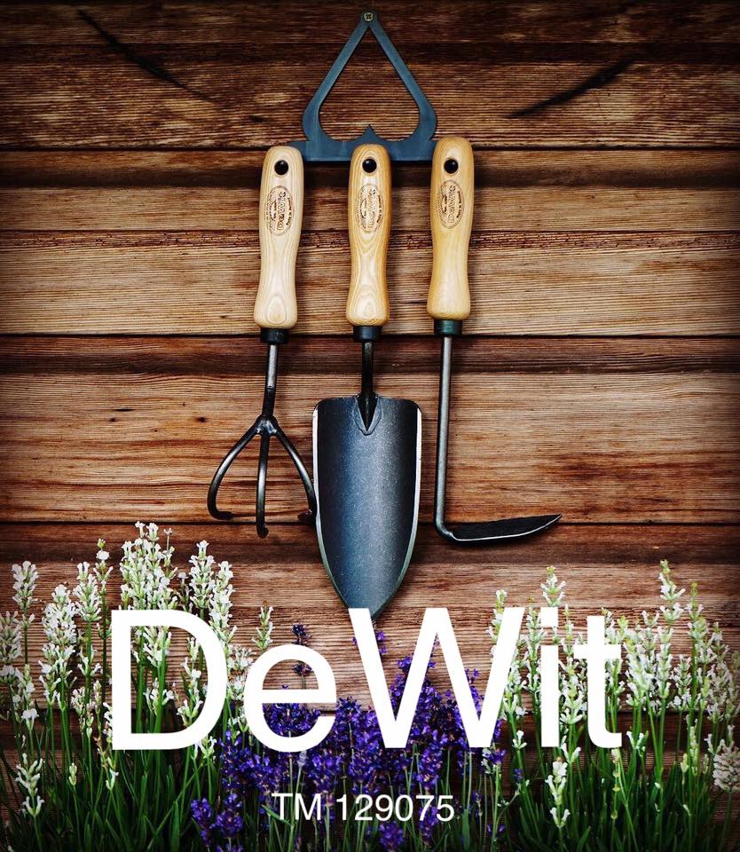 �����������. ������� ���������� �� ������ ������� ������ Dewit, Offner, Berger, DiMartino. �������� ��� ��� Foxgloves. 8/22