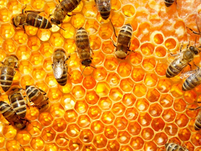 ���� �� 30.08. ���������� ��� �� ����������� ������������. ������������ ����������! ����� 2022_1!