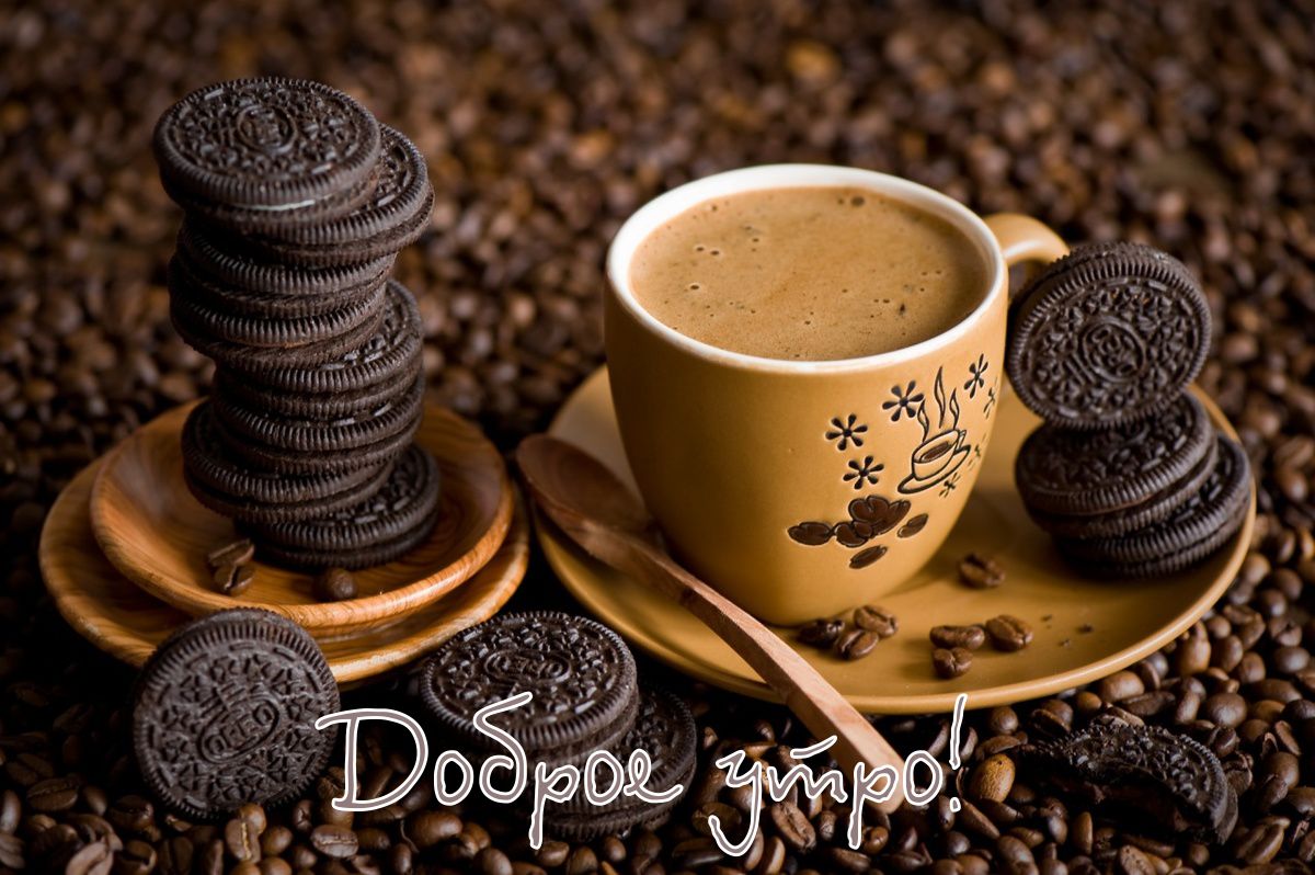 ������� ������� ����� �� �������� �������� ���� ��������� �������! ���� �� ���� ������!