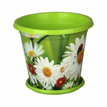 ���� 14. ���������: ��� ������, �������, �����, ����, ����, �������, ����, �����, ����, ������ ���������, ������� � ������, ������, ������������� � �������, ����������.