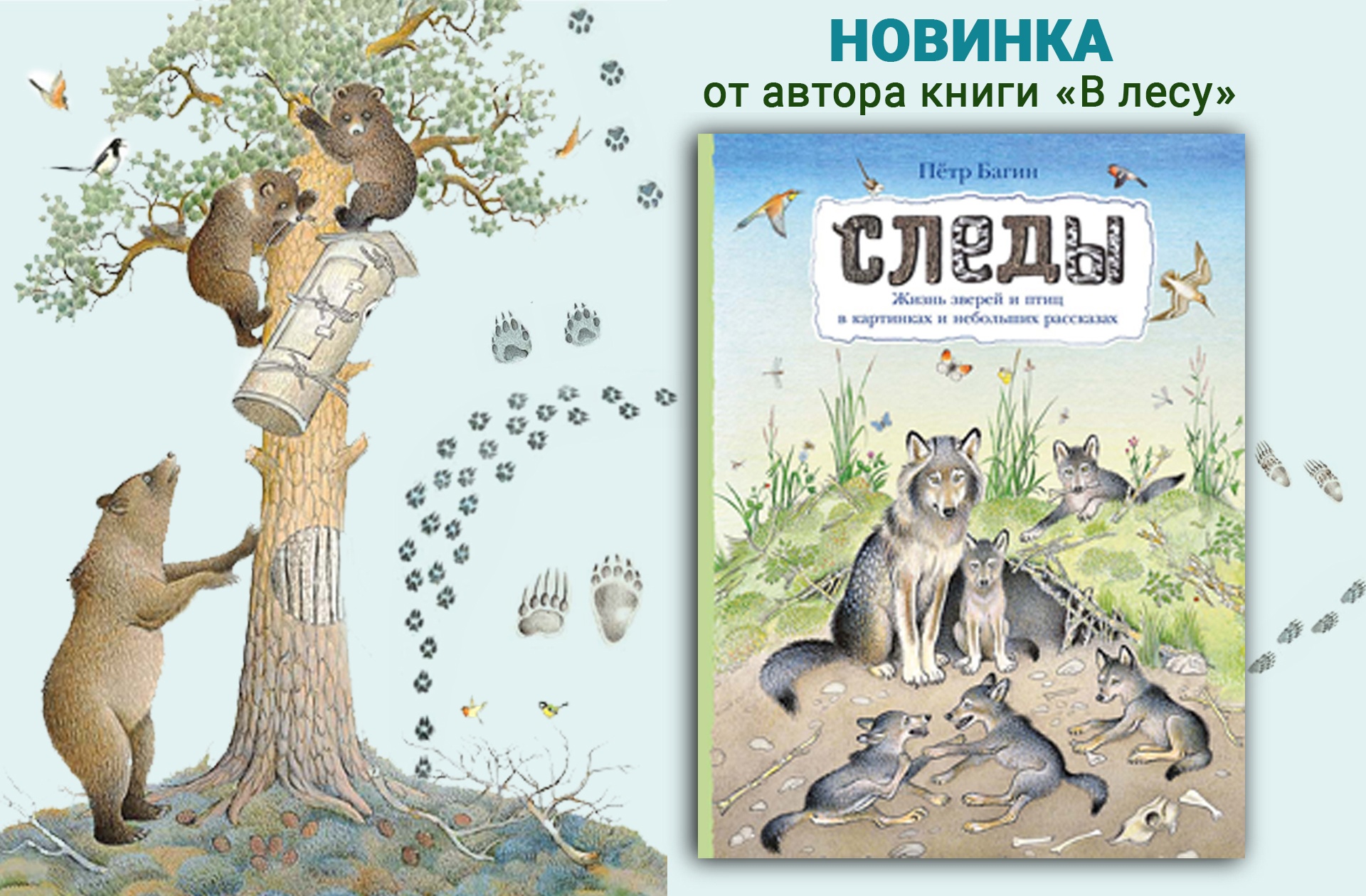 ���� ������� �� 28.08. �����. ����� - ������. ����������� ���������������� ������������ ��� �����