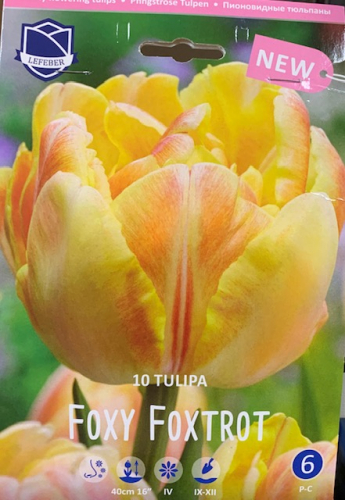 ����������� �������� � ����������! ���� ������ � 8� ����!