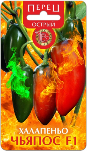  ��������� ������ ������������ �����! ����� ��������� ������ - ������ �������� ����. ���� ���������� � �������� �������, � ����� ������� ������� �����������...  