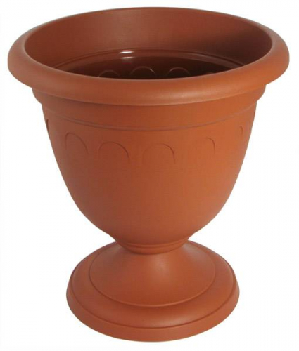 ���� �������. ��������� ������, ���������, �����, ������. ����� 55