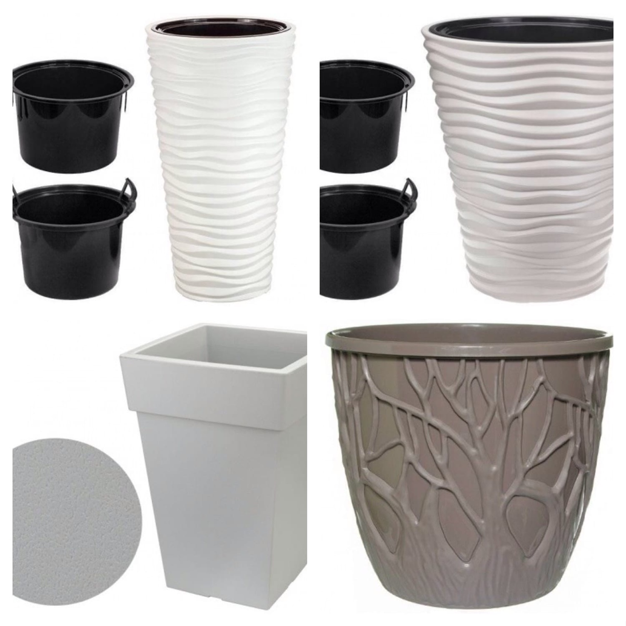 ���� �������. ��������� ������, ���������, �����, ������. ����� 55