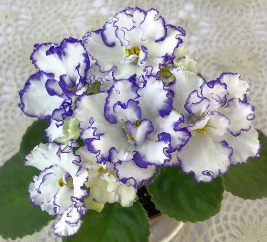 ����� �������� �������! �������� ������ - �������� ����������� ������� ���! �������! 7/22