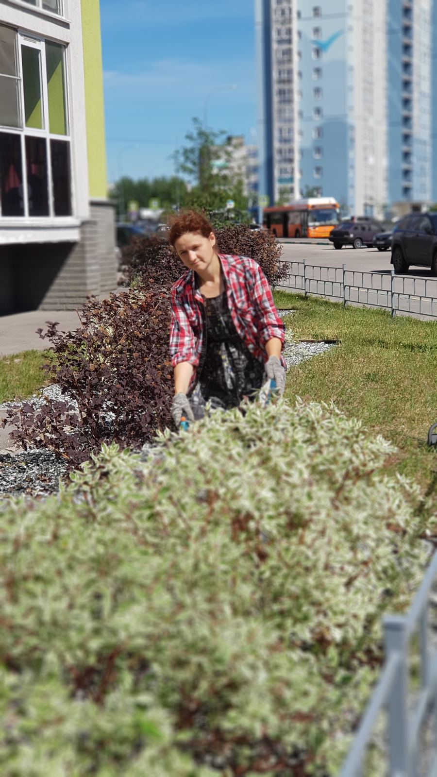 [b]������ ����-������ � ���������� � ������ ������� � ��������� ����[/b]