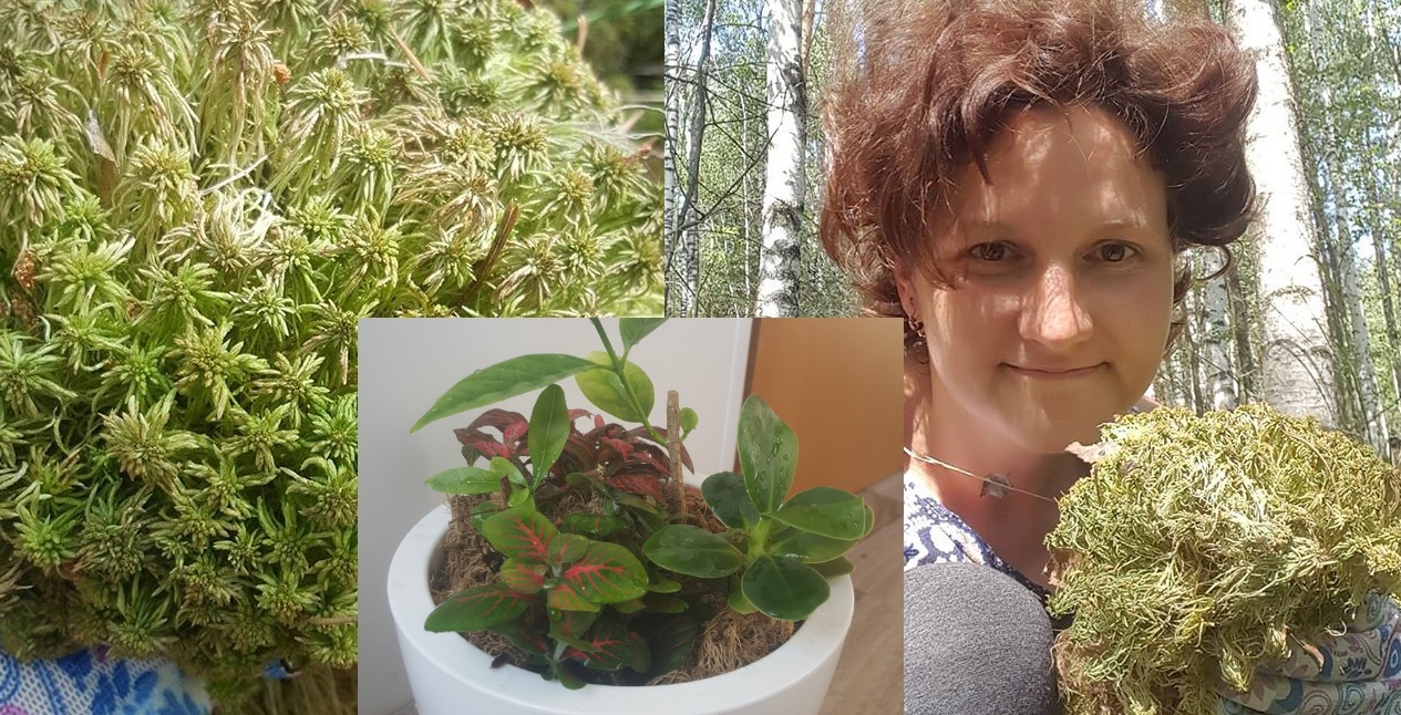 ������ �������! ����������� ����������. �����, �������. ��� ����� ��������� ��������.