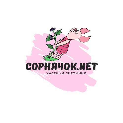 ���� ������� �� 15.09. ��������, �������� � ������������ �������� �� ��������� ��������.net. ������� ���� - ������� �������.