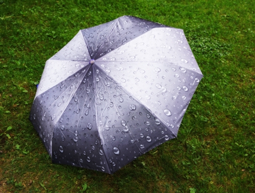 ���� �� 25.09.22. ����������, ���� �� 320 ������! ����� ����� Galaxy ��������� �������� �� ������ �����, �������, �������, ������� (����������).������, �������, �����������, ���� ��������. �������� ���������! 