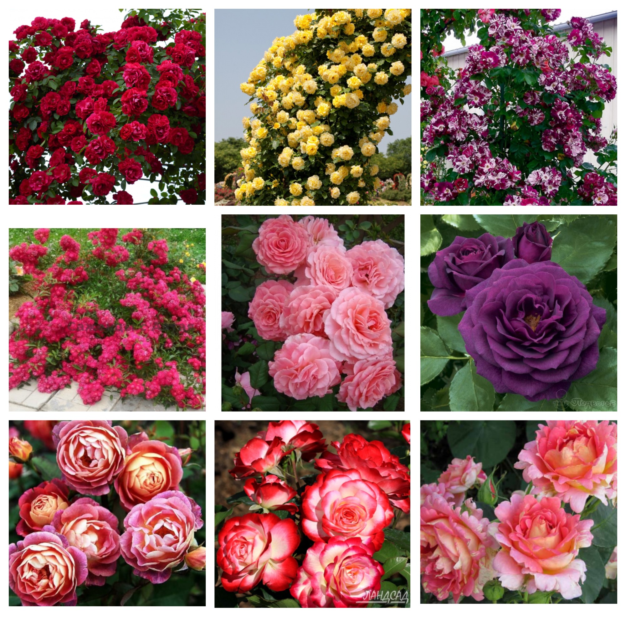 ���� �� 29.09. ���������� ���� ��� �� ����� � ��̣��� ������� :) ���� �� 170 �. ��������� �� ����� 2023 ����