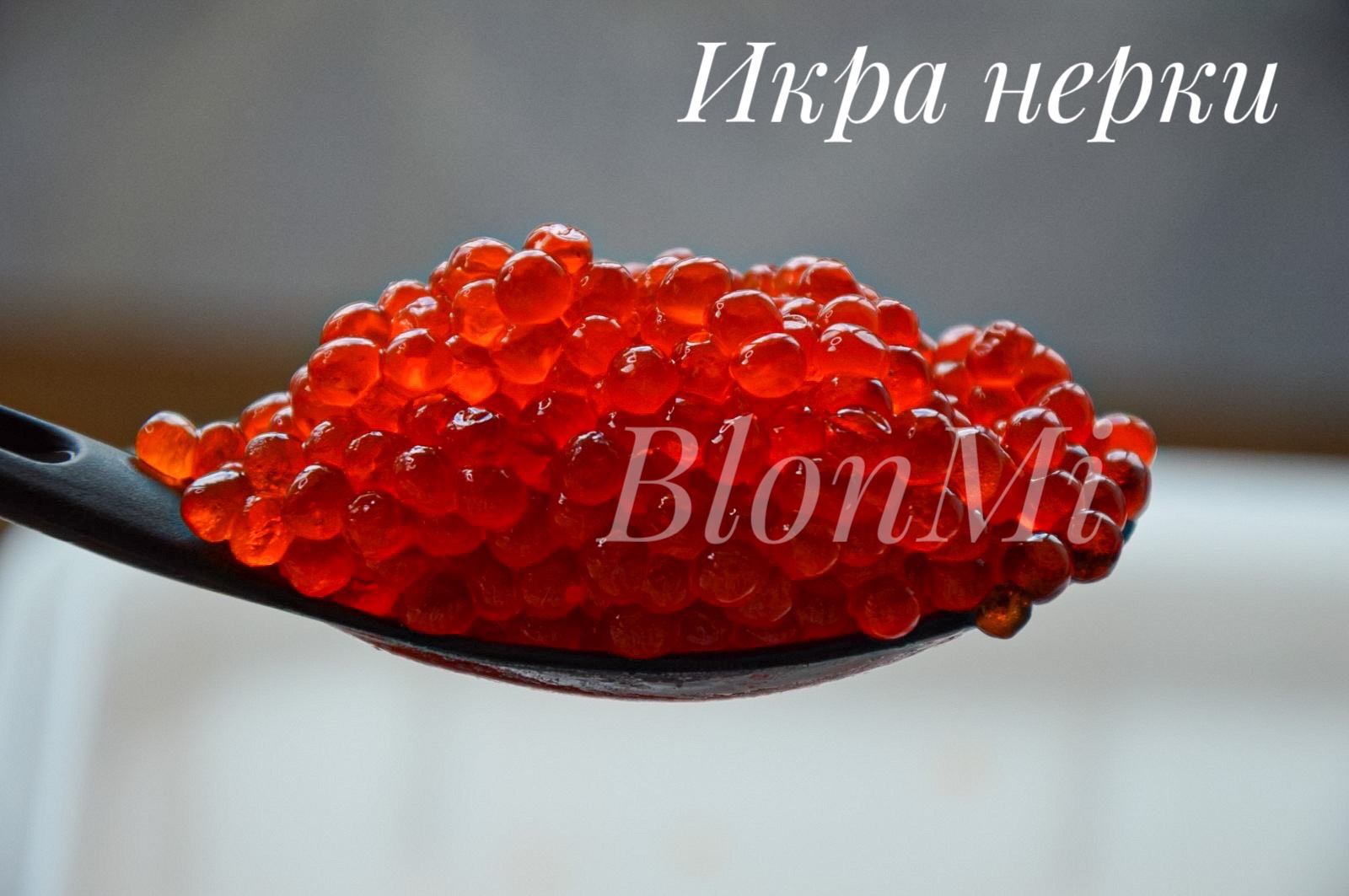 ���� �� ������, ����������� ���������� ���� � ��������� ���������� ������ ������ 