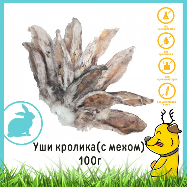 ��������� ����� ���������: DogVic ��������� �� ������� ��� �����!