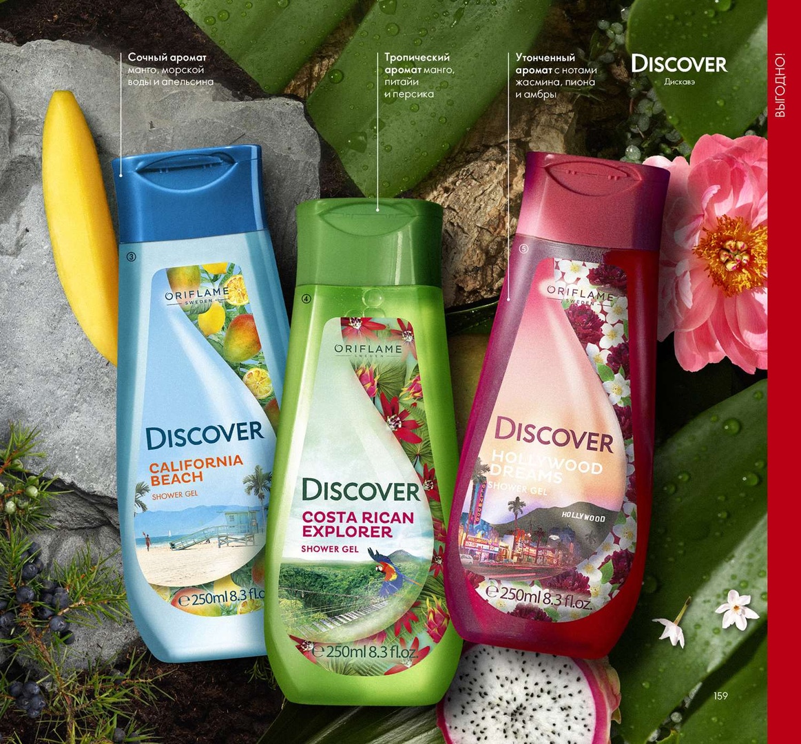 ���� �� 03.10. ����! ���� Discover �� 97� � ���� �� 49�! ���� � �������� �������������� ������� �� 253�! � ����� ��. �����-112. 