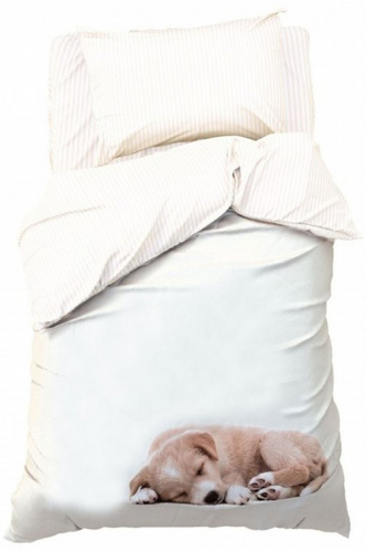 ���� �������. ���������� �����, �������� ��� �����. ���������� ���������. ����� 1/2022