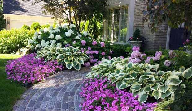 ����� - �������� ����! ����� 300 ������! ��������� �� ����� 2023�.