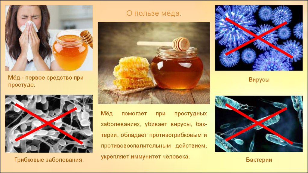 ������������ ����������� ��� (������ ���� ���� �� ��������� ����� ����)  � ������������� �� ����������� ���������� � 35 ��������! ������ ����!