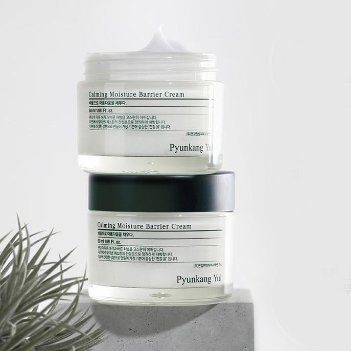 ���� ����������� ������������ ����, ������� �����������, �������� �������� ����������. ������� ���������� �������� � ���, ��������� �������� ����, ������� ���������������� ����. �������� �������� ��������, ������������ ������� � ��������.