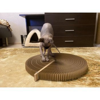 [b]���� �������.���������� ������� - ������� �����.�������� ������������� ���������.92[/b]