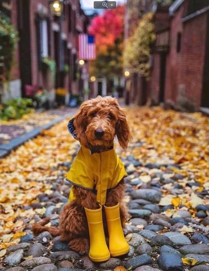 ����� NORDMAN: ���, ���������, ������, � ���������, �������� � �.�.