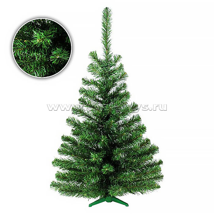 ���� ���������� �������: ���, �����, ������� ���������, ������������ �������, ����� � ������� ����������, ������, ������, ����������, ����, �����, ����������� ���������, ������, �����, ����������� ������, ������ ����, ����������, ��������, ����. �����