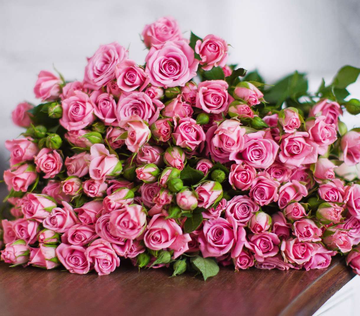 ��������! ������� �������! 