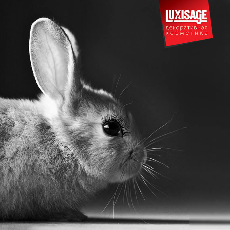 ���� �� 01.11.������� 10.11.������������ ��������� Lux visage.